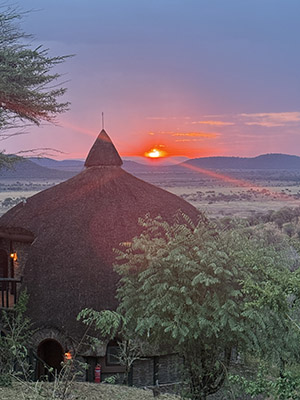 África