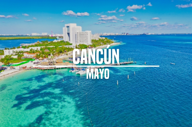 Cancn - Mayo