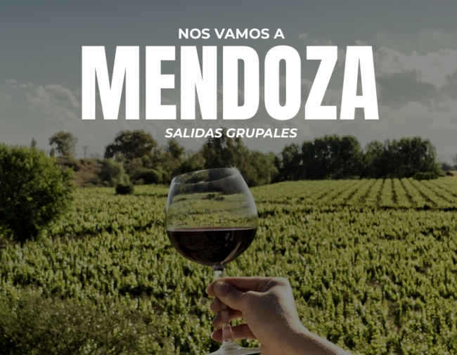 Mendoza Wine Experience