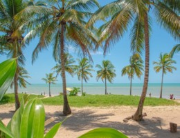 Hotel Transoce�nico