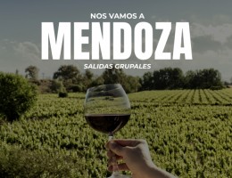 Mendoza Wine Experience